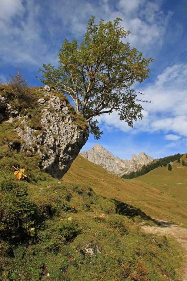 Gintherhof Reutte Extérieur photo